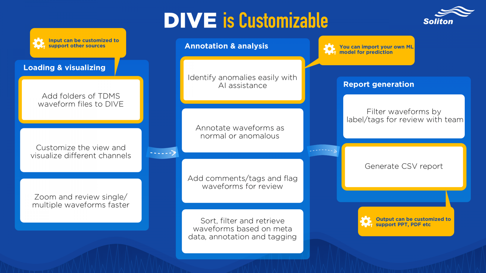 Workflow and Capabilities of DIVE