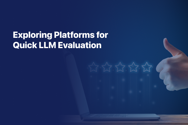 Exploring Platforms for Quick LLM Evaluation 