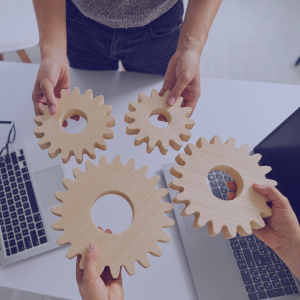 Soliton’s Contribution to the Solution